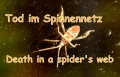 Tod im Spinnennetz