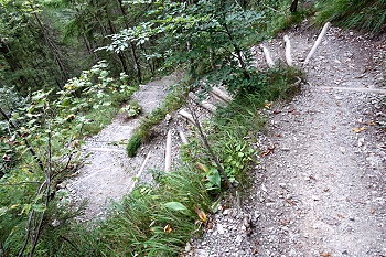 Treppen zum Parkplatz Bayerwald
