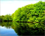 Am oberen Mühlenteich