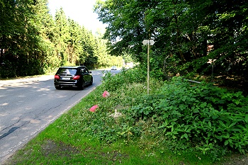 Großhansdorf, future path between hiking trail 8 to EDEKA-shop