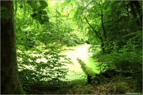Paradies 2