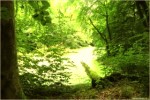 unser Paradies in Groothansdörp
