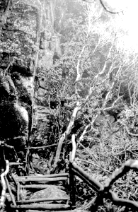 Kinabalu, eine Himmelsleiter (von oben)