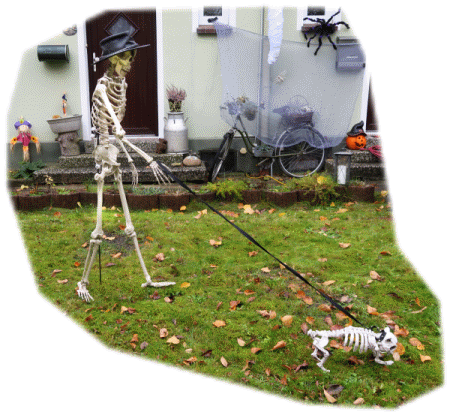 skeleton with dog