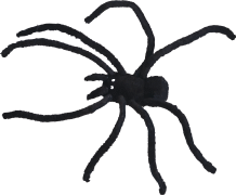 black spider left