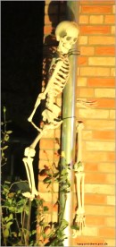 a sporty skeleton