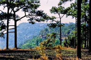 Südkante  des Phu Kradueng