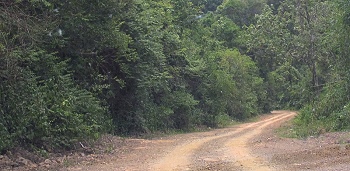 Kaeng Krachan National Park, auf dem Weg zum Headquarter