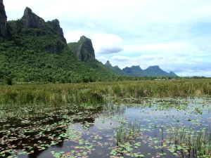 Sam Roi Yot, Büng Bua, view southward