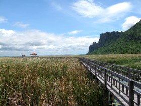 Sam Roi Yot, Bueng Bua, footbridges in the marsh