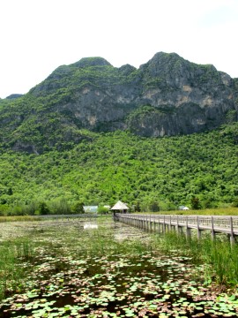 Sam Roi Yot, Büng Bua, Blick nach Osten auf die Berge