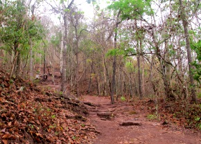 Phu Kradueng, Anfang des Aufstiegs