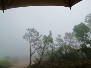 Phu Kradueng, im Regen auf dem Weg ins Camp