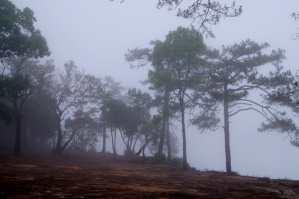 Phu Kradueng,  Cliff Nok Aen