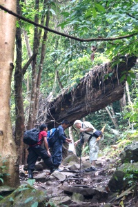 Phu Kradueng, staff of the National Park